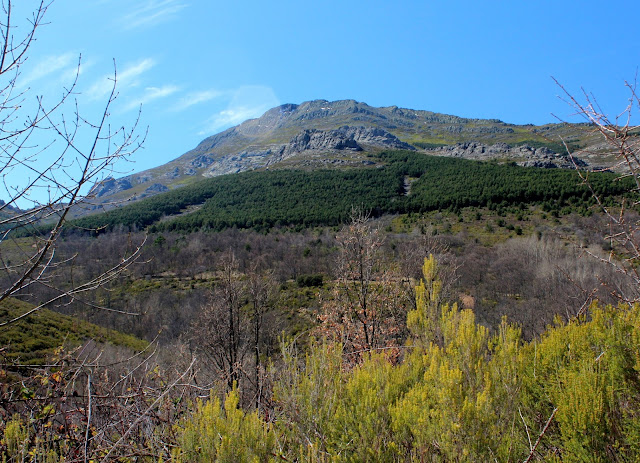 Chorrera de Despeñalagua. Valverde de los Arroyos