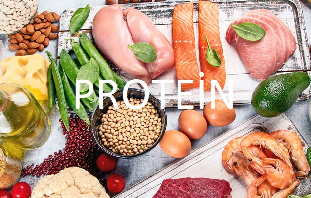 Protein İçeren Besinler