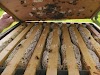 Μπλοκάρισμα με μέλια στη κυψέλη: Πως συμβαίνει και σε τι χρησιμεύει το βασιλικό διάφραγμα;