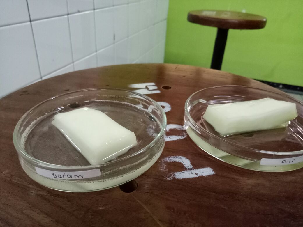 All About Teenager Laporan Praktikum Biologi Difusi