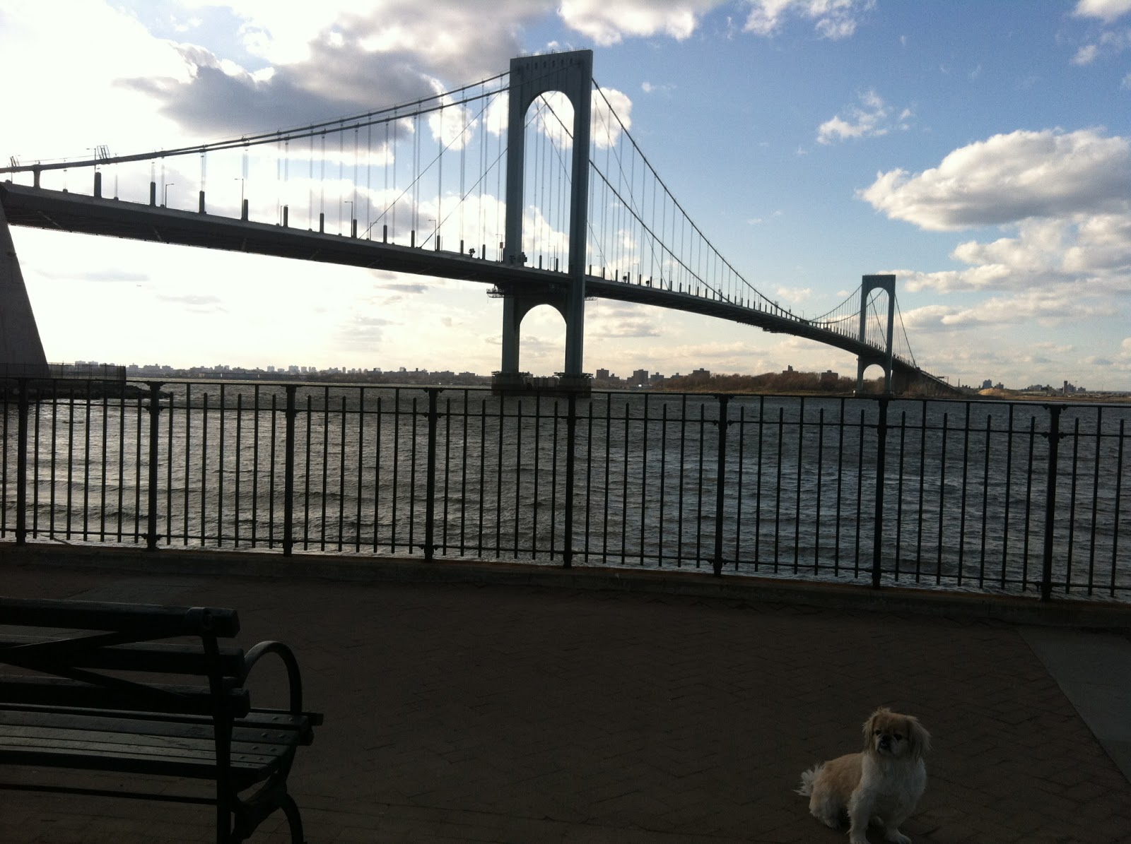 Talking about the Neighborhood Best Parks in Northeast Queens