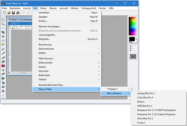 PaintShop Pro Nik Collection-Filter