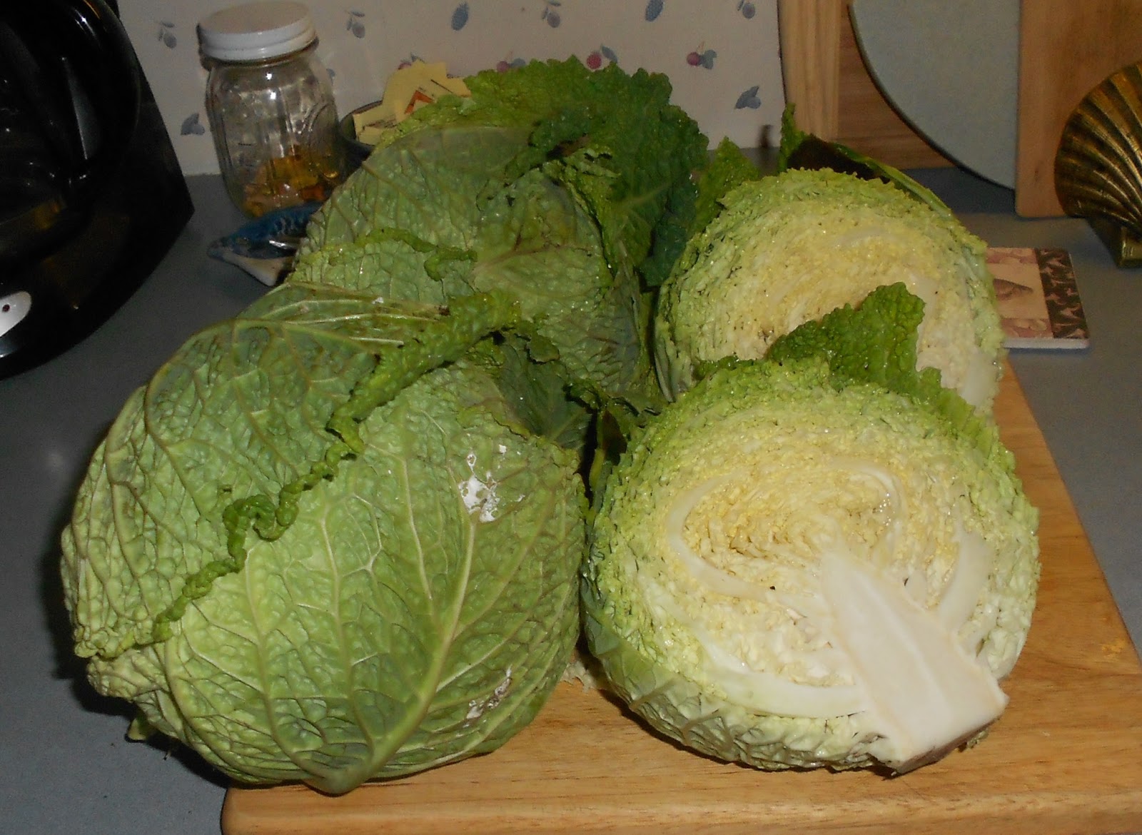 From Seed to Scrumptious Savoy Cabbage Harvest
