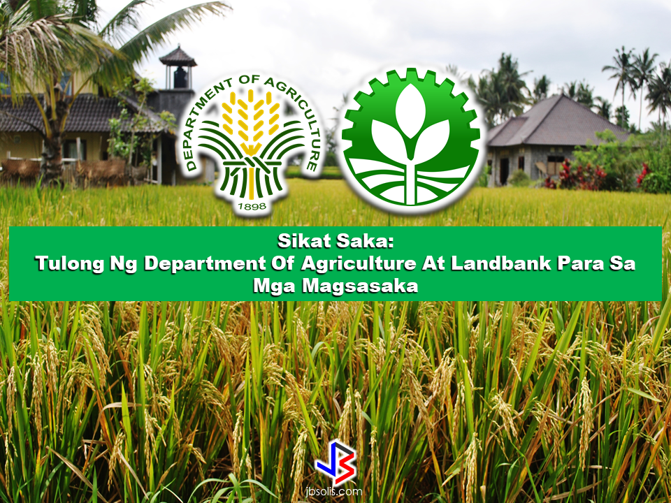 Sikat Saka Department Of Agriculture and Landbank Assistance To Small Rice Farmers