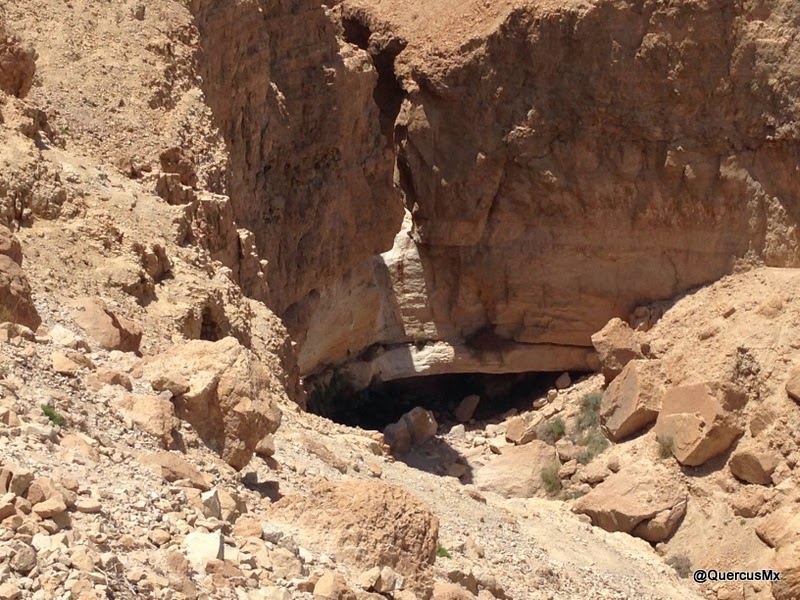 Enorme cueva al fondo del cañón de Wadi David