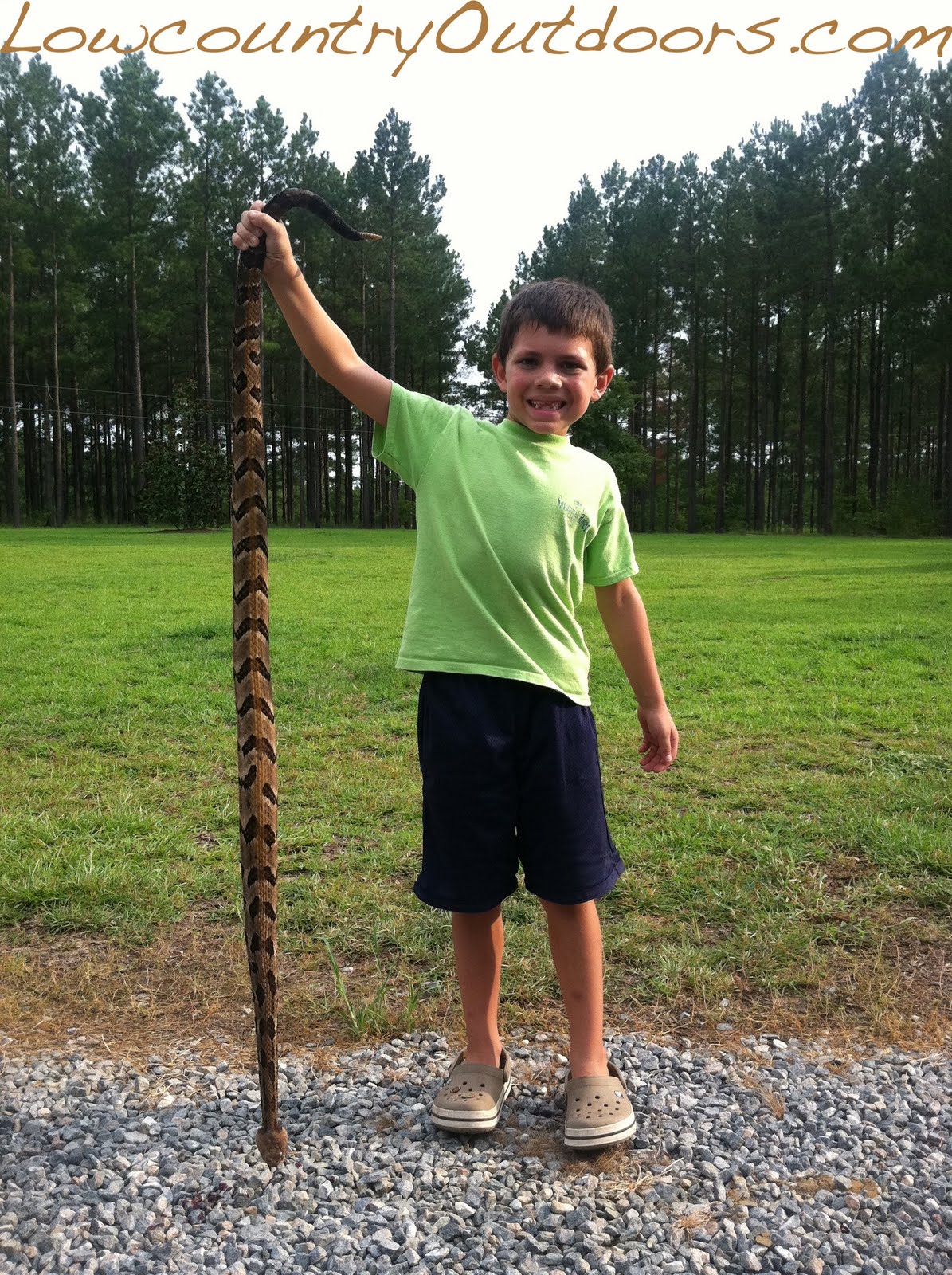 Lowcountry outdoors Youth hunter excels at Red Bluff Lodge