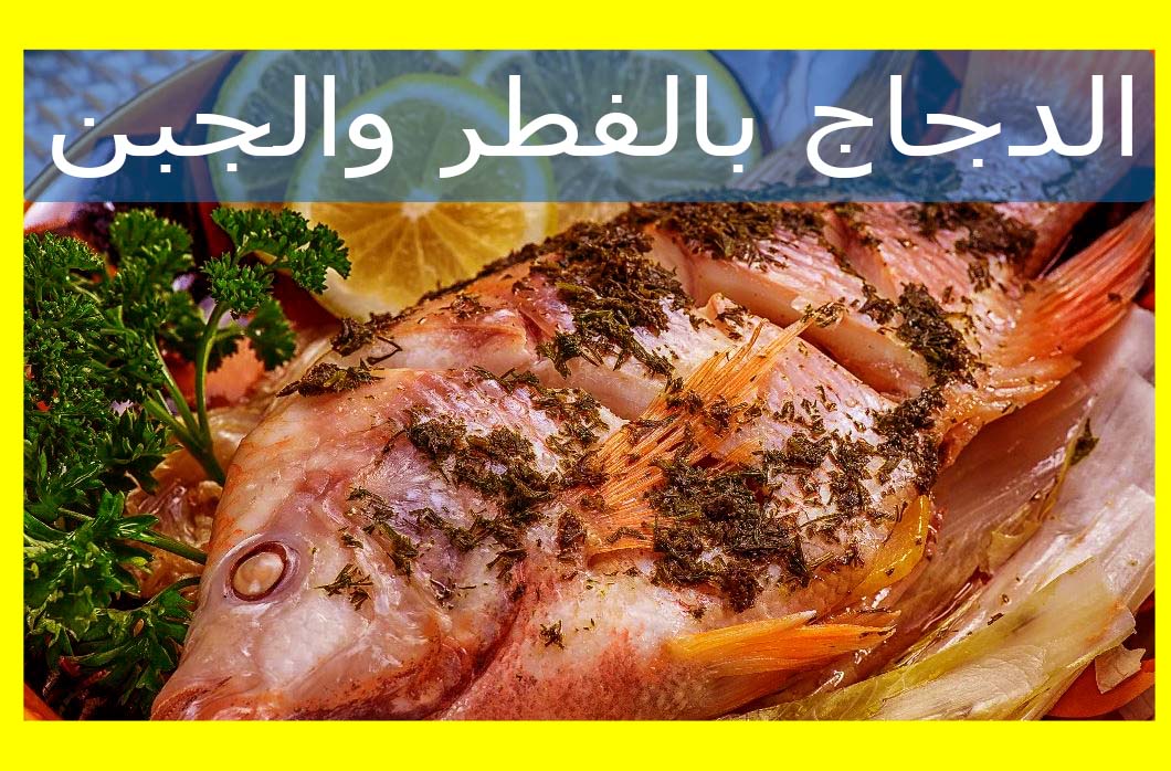 تحضير أكلات الدجاج بالفطر والجبن بطريقة سهلة جدا تحضير أكلات الدجاج بالفطر والجبن بطريقة سهلة جدا