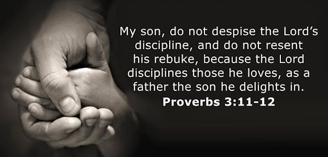  My son, do not despise the Lord’s discipline, and do not resent his rebuke, because the Lord disciplines those he loves, as a father the son he delights in.