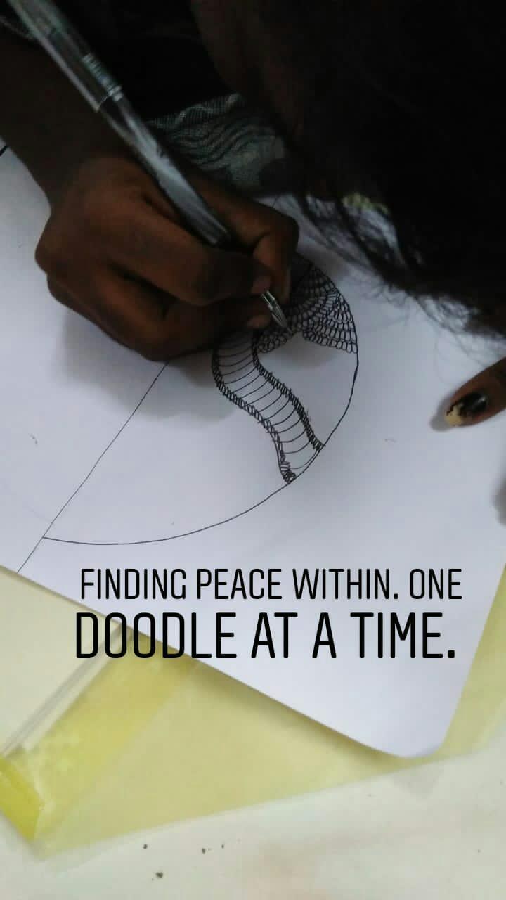 Video Elephant Takes Walk On Empty Munnar Streets Amid Lockdown