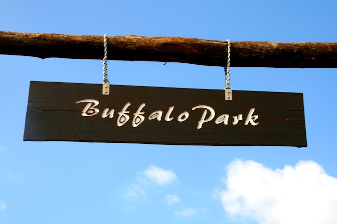 Buffalo Park, Langkawi