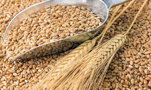10 reasons why your eyesight is poor you should know before it's too late Using heavy wheat for a long time can cause dilated eyeballs, which is the reason for poor eyesight and makes you more susceptible to myopia.