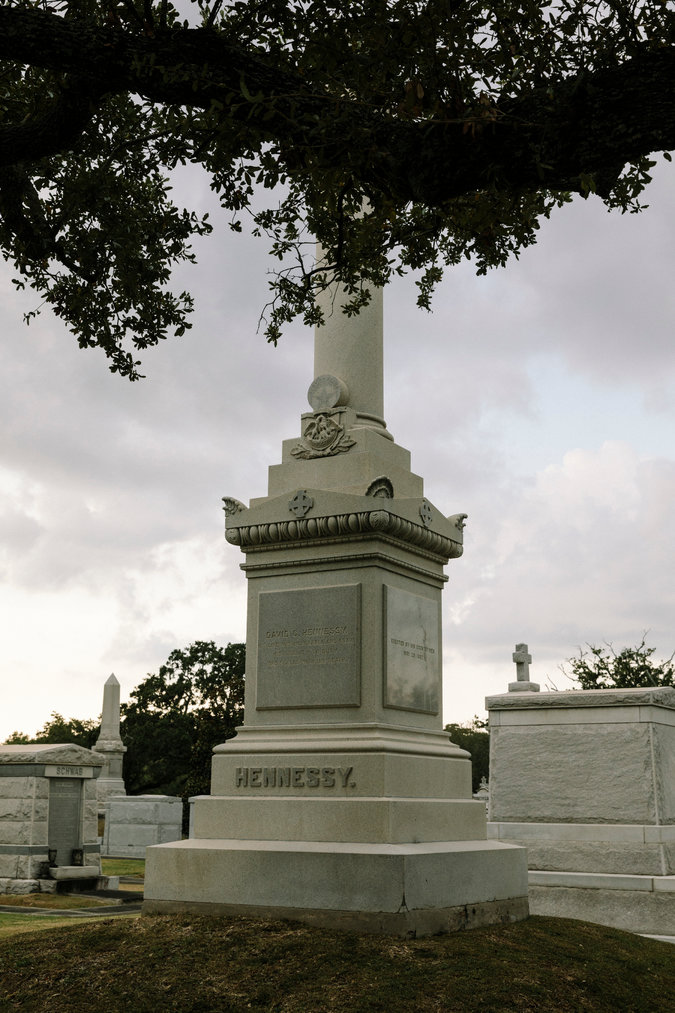 Die 13 Besten Bilder Zu Pferde In 2020 Pferde Pferdefotos