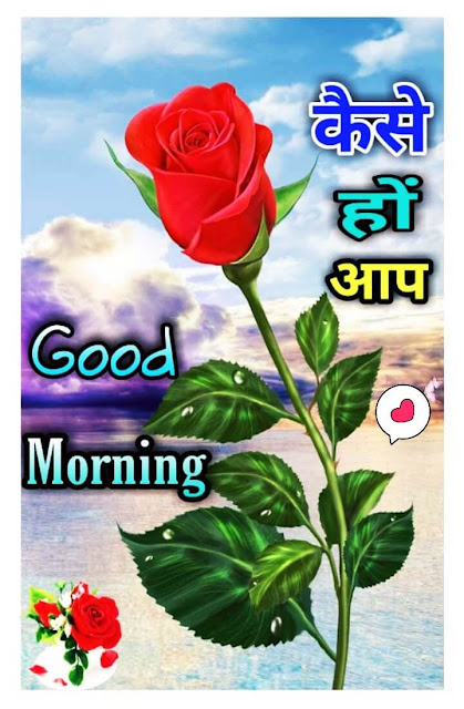 Good Morning Images For Whatsapp Good Morning Images For Whatsapp