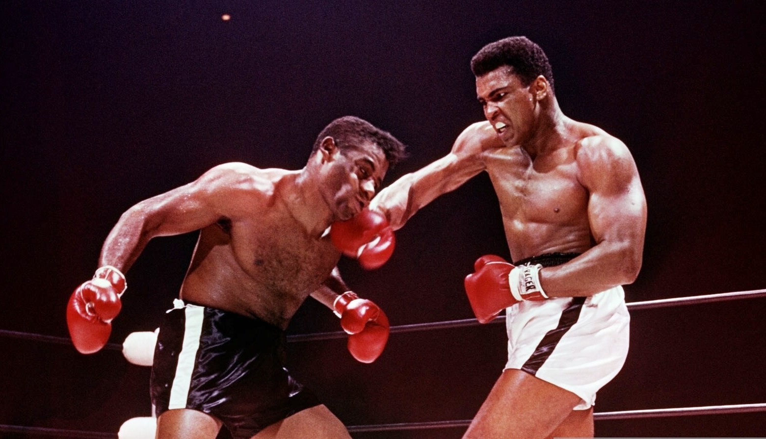 Top 10 Greatest Boxers Of All Time 2020 Sportytell - www.vrogue.co
