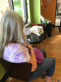 Rachel enjoyed all the humans