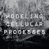 Modeling Cellular Processes