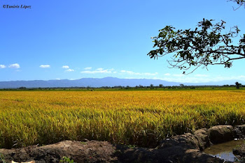 Ningún lugar está lejos... en RD: El atardecer de hoy en Santo Domingo