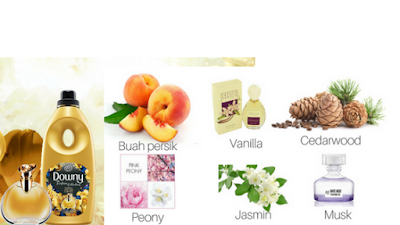 Berani Wangi Dengan Downy Daring, Paduan Harmonis Aroma Parfum Premium, Harum Lebih Tahan Lama Dari Parfum Mewah Berani Wangi Dengan Downy Daring, Paduan Harmonis Aroma Parfum Premium, Harum Lebih Tahan Lama Dari Parfum Mewah