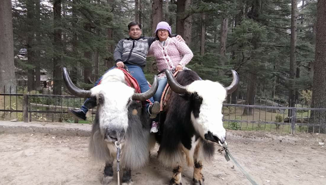 सुषमा स्वराज को याद कर रहा पश्चिमी अफ्रीका में फंसा बेतिया शहर का एक परिवार, लगा रहा मदद की गुहार 2