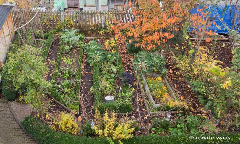 Gartenblog GeniesserGarten Gemuesegarten im November