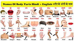 Body Parts name | Human Body parts name Hindi and english