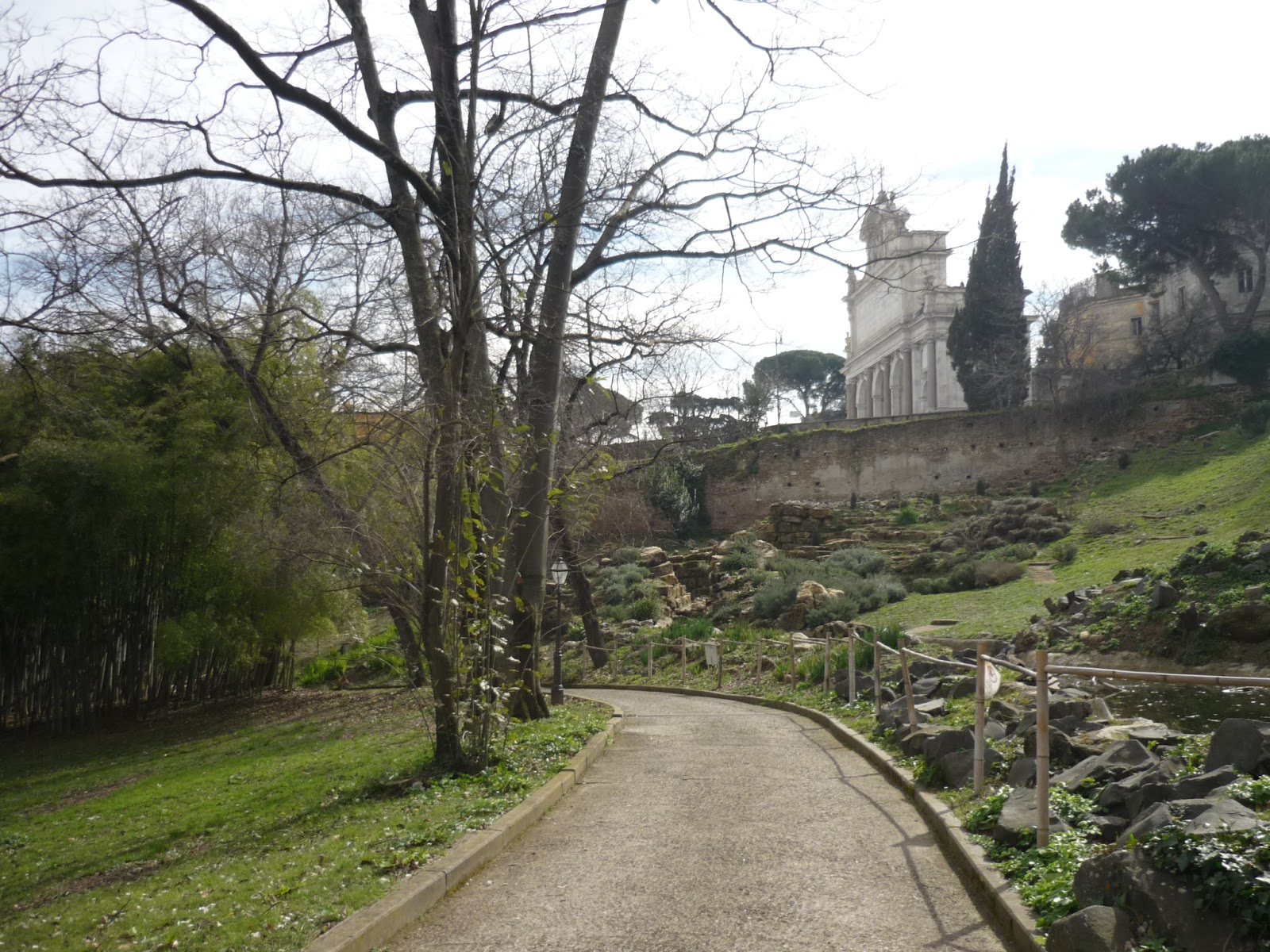 Le jardin botanique de Rome : souvenirs de février 2019
