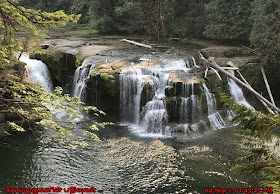 Lower Falls of the Lewis River