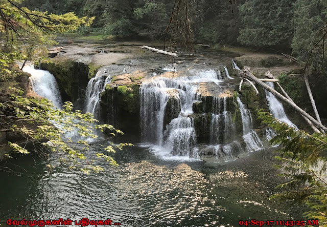 Lower Falls of the Lewis River