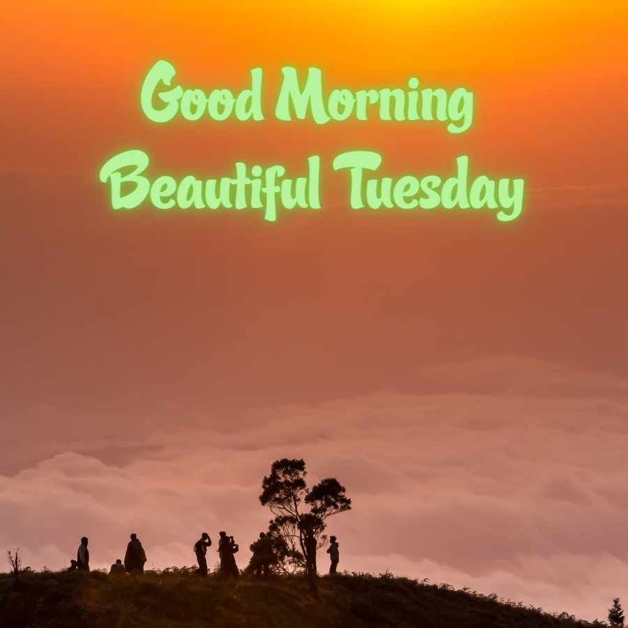 tuesday quotes with images
