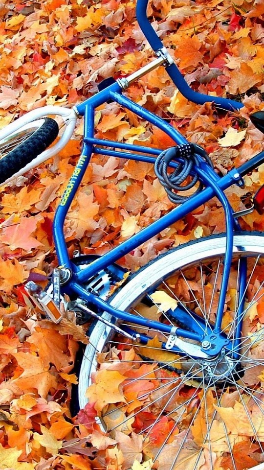   Blue Bicycle On The Yellow Leaves   Galaxy Note HD Wallpaper