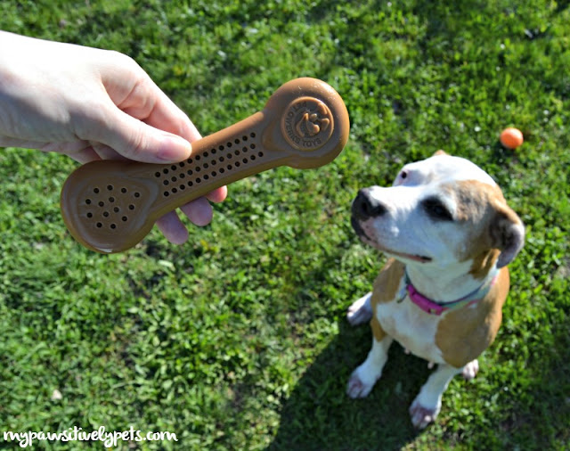  Giving your puppy plenty of chewing options will help keep them from chewing up your personal stuff and making a mess.