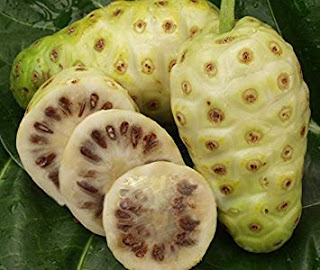 Rich in Benefits, Is Noni Safe to Eat Every Day? - Healthy T1ps Rich in Benefits, Is Noni Safe to Eat Every Day? - Healthy T1ps