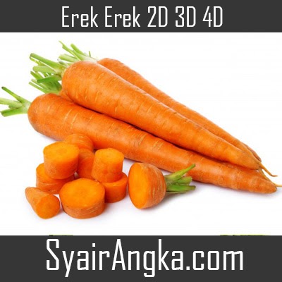 Erek Erek Wortel 2D 3D 4D Di Buku 1001 Mimpi - Syairangka.com