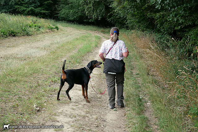 Hunde Abschiedsgedicht