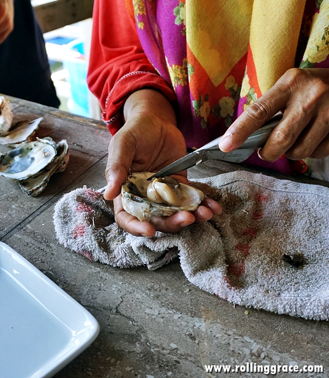 Fresh River Oysters at Bakau Hijau Sungai Merbok, Kedah, Malaysia