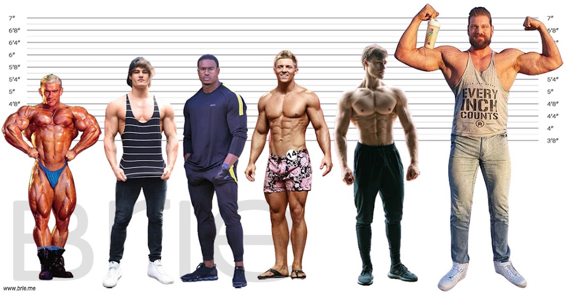 Bruce Willis Height How Tall Is He Really Brie bruce-willis-height-how-tall-is-he-really-brie