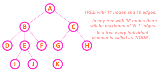 The correct place for easy learning....: Tree Representations