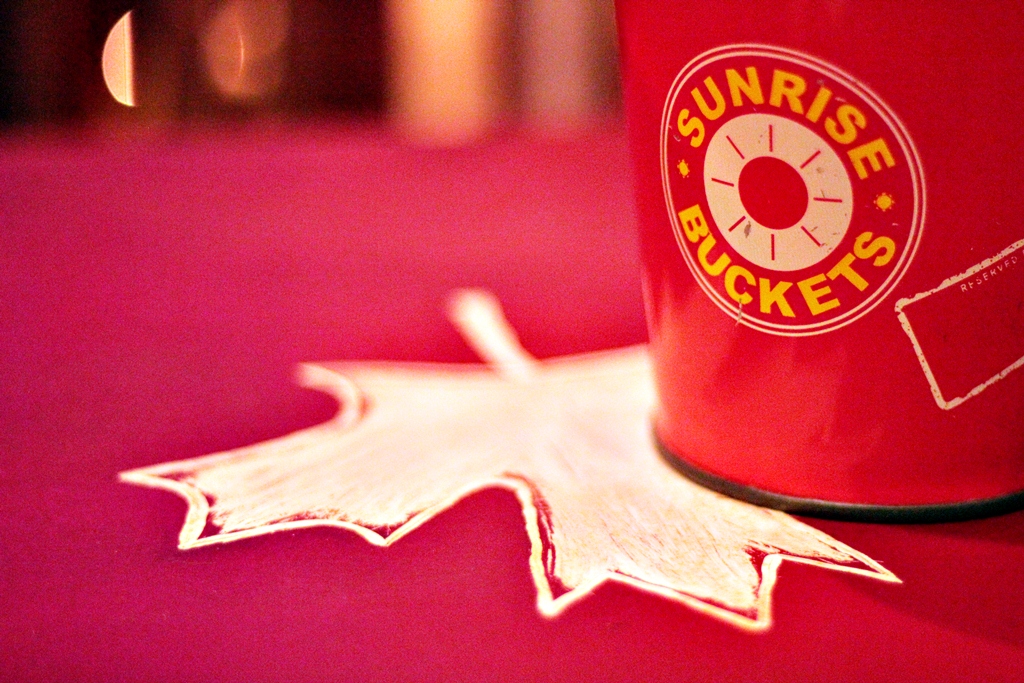 Wings in Buckets One Snapshot. One Life.