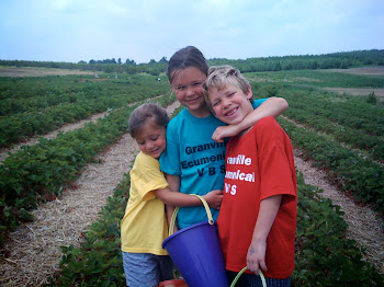 2009 Strawberry Picking