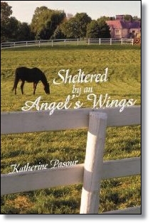 Sheltered by an Angel's Wings (Katherine Pasour)