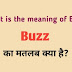 Buzz meaning in Hindi-urdu/English - Buzz का मतलब क्या है?