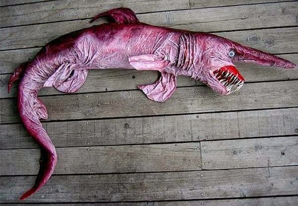 Animals You May Not Have Known Existed - Goblin Shark
