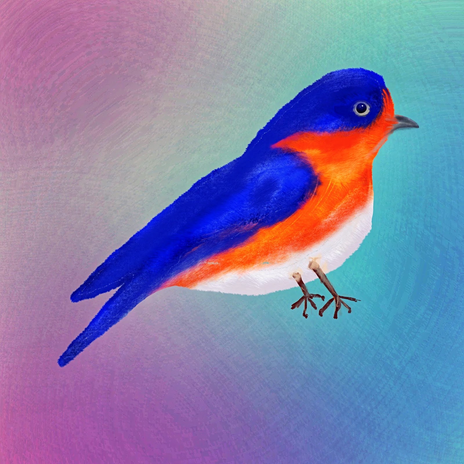 Just a Bird Bird Illustration using Procreate Digital illustration