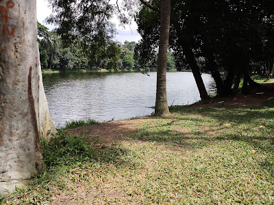 Beautiful Ramna Park in Dhaka 2021 4 Beautiful Ramna Park