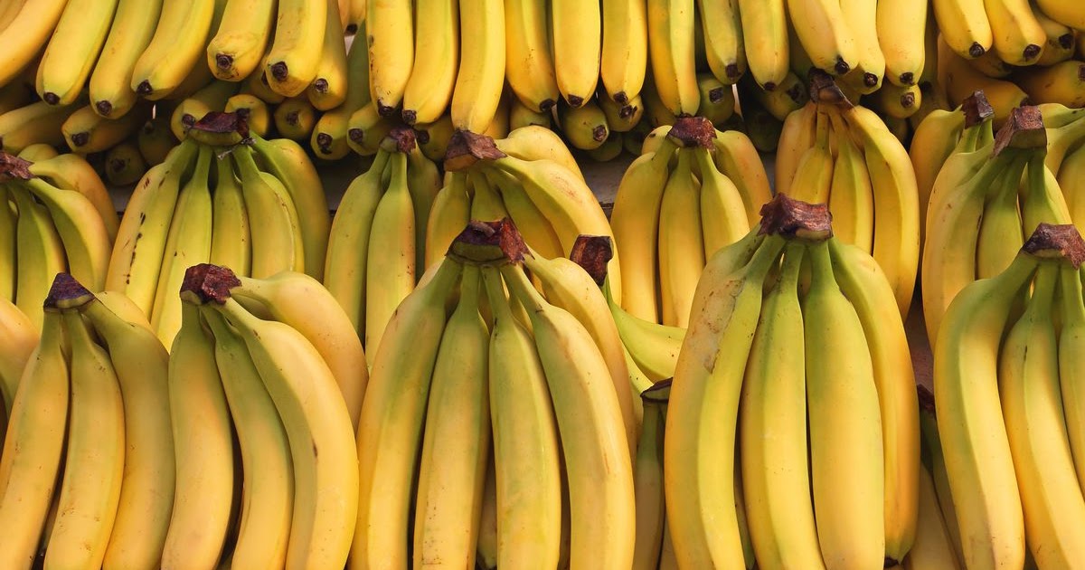 Wholesale Bananas