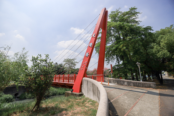 彰化北斗美人樹綿延1.5公里河濱自行車道，河濱公園景觀橋好好拍