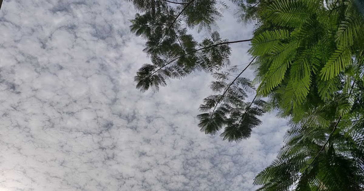 Lockdown - mind speakout