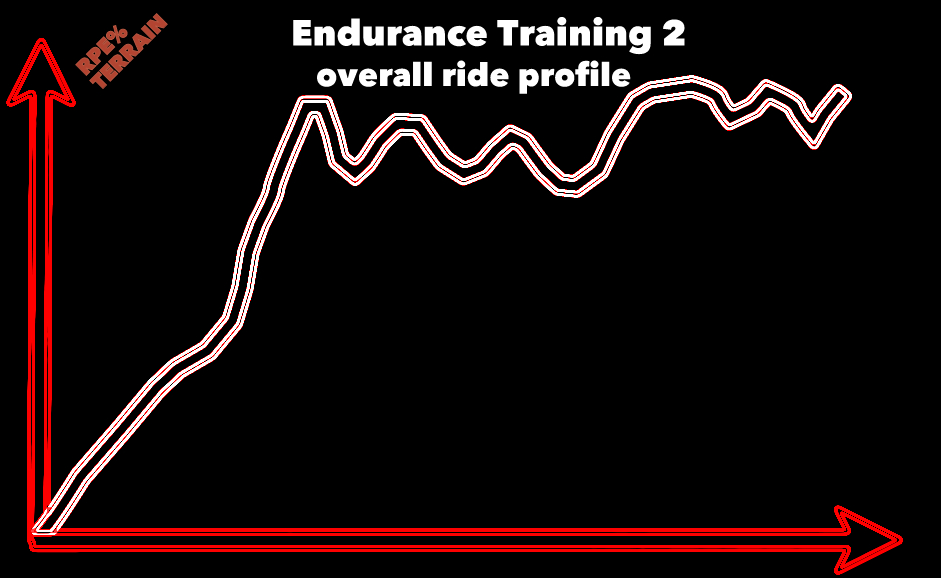 cyclein CYCLE IN ENDURANCE TRAINING VIDEO 1