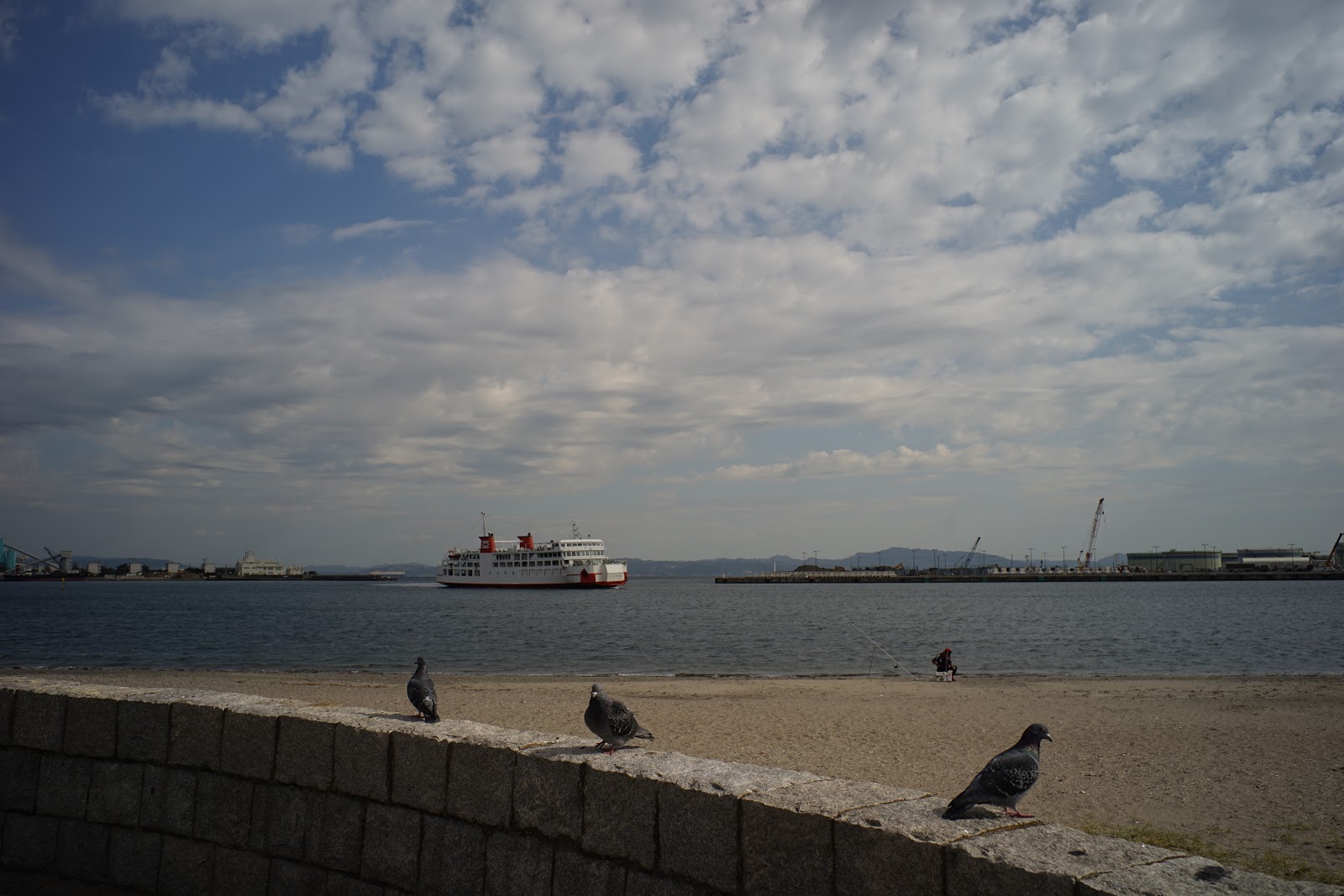 DSC06587.JPG