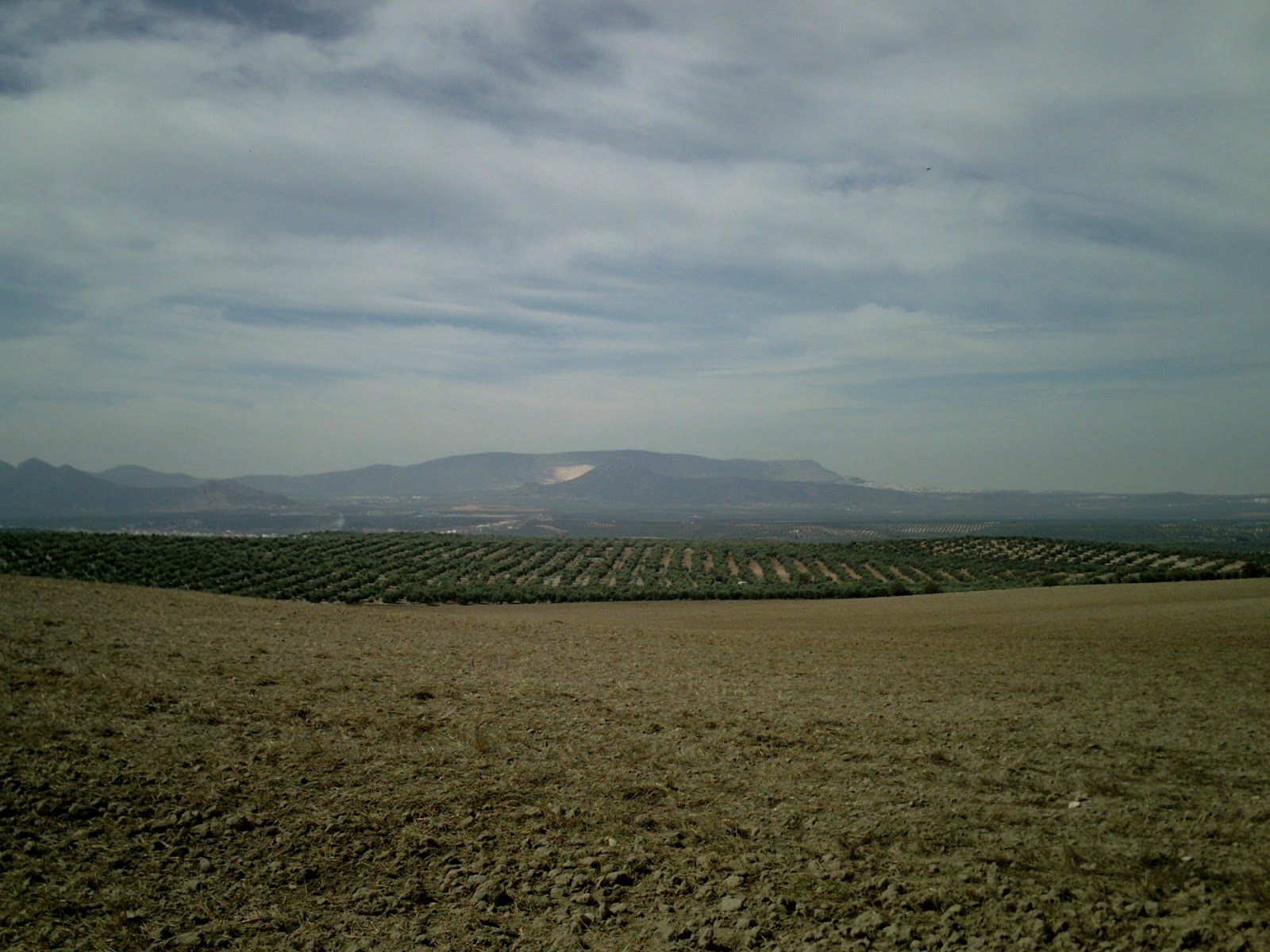 CRÓNICAS DE CASARICHE 2 Cortijo San Rafael